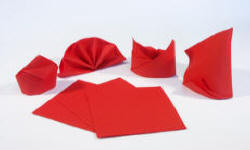 POLISH FIRMS