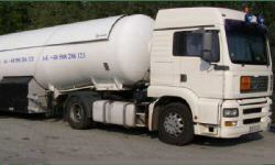 POLISH FIRMS