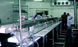 POLISH FIRMS maszyny urządzenia spożywcze gastronomiczne katalog polskich firm